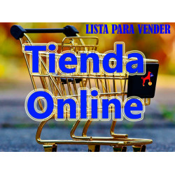 Diseño y creación de una tienda online profesional