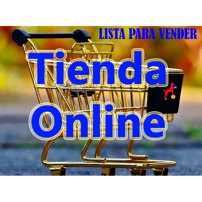 Diseño y creación de una tienda online profesional Diseño y creación de una tienda online profesional